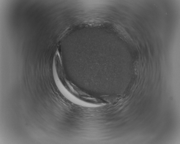 X0000074021298200609061105