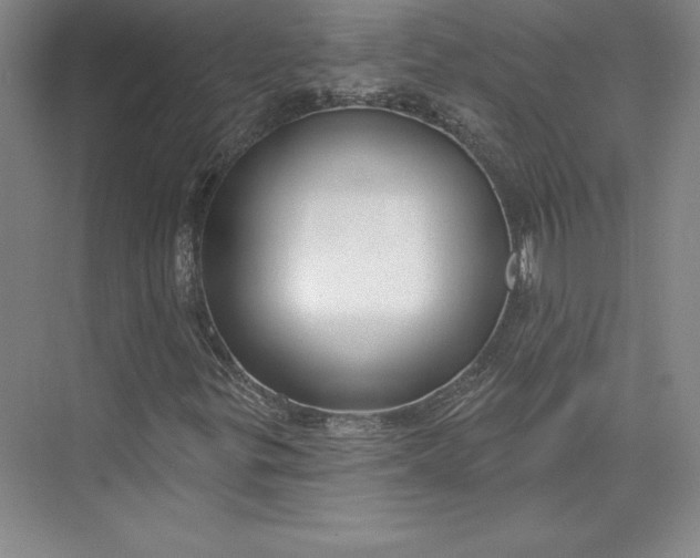X0000074021299200609061105