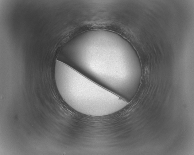 X0000074021300200609061105
