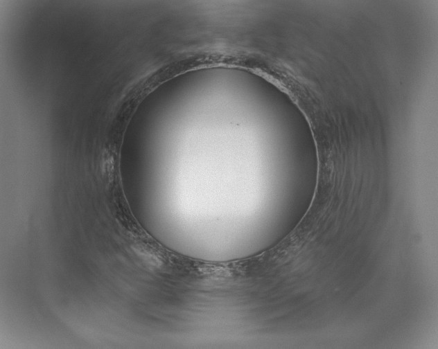X0000074021302200609061105
