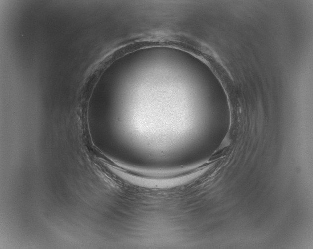 X0000074021304200609061105