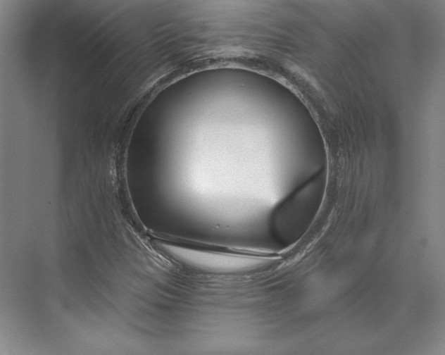 X0000074021305200609061105