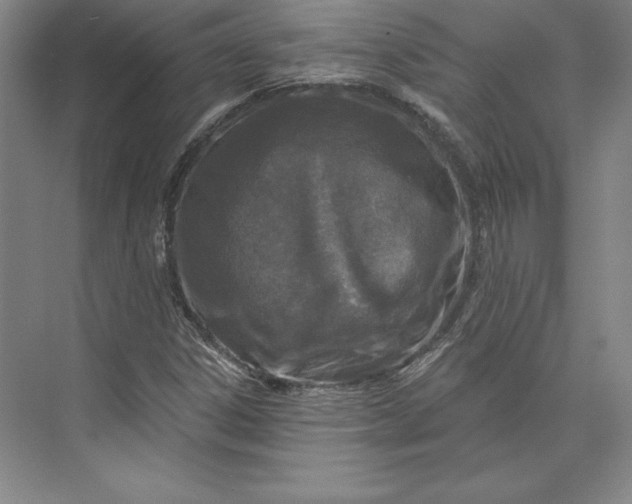 X0000074021306200609061105