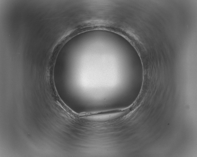 X0000074021309200609061105