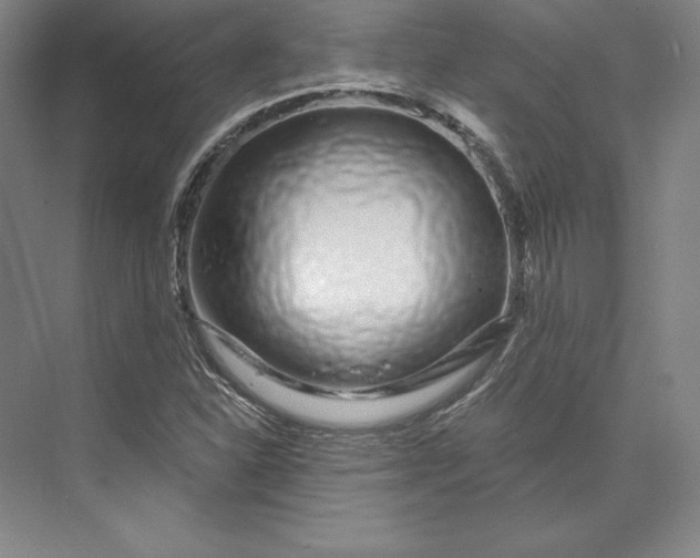 X0000074021310200609061105