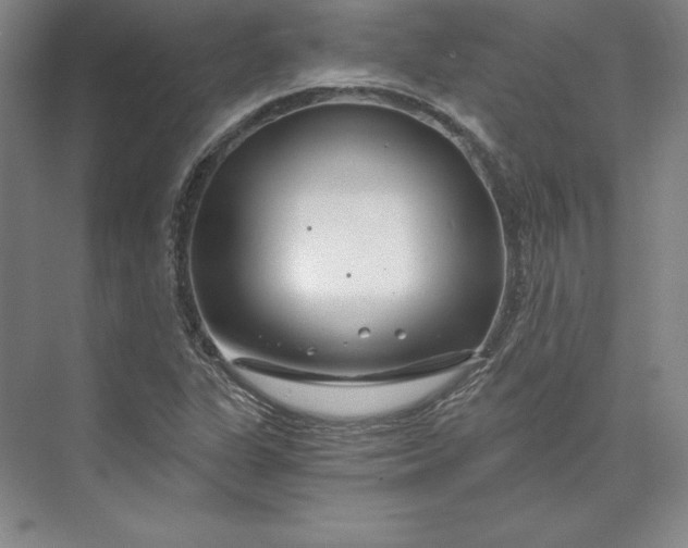X0000074021311200609061105