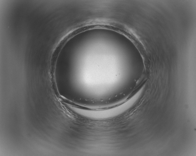 X0000074021312200609061105