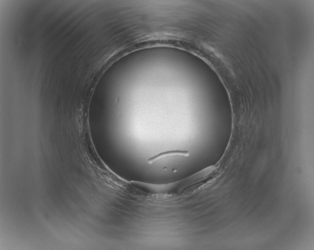X0000074021313200609061105