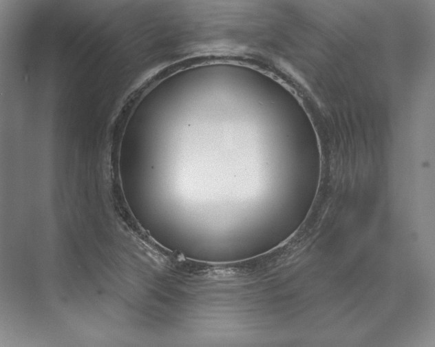 X0000074021315200609061105