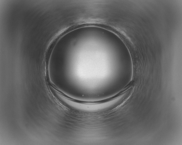 X0000074021317200609061105