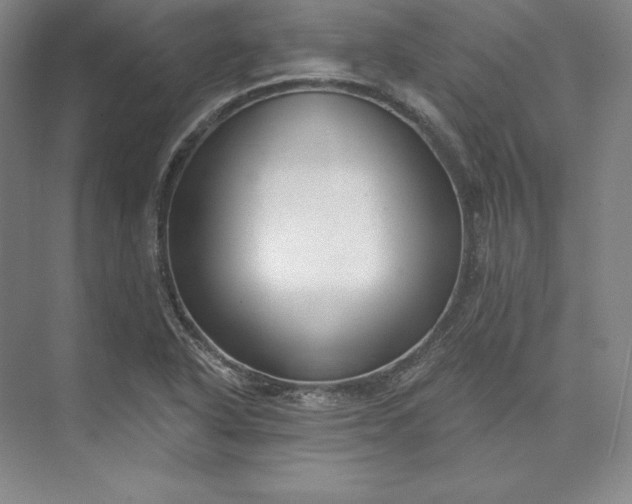 X0000074021318200609061105