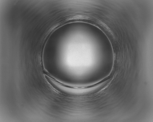 X0000074021321200609061105