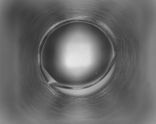 X0000074021324200609061105