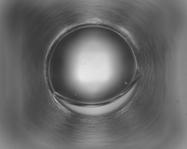 X0000074021326200609061105