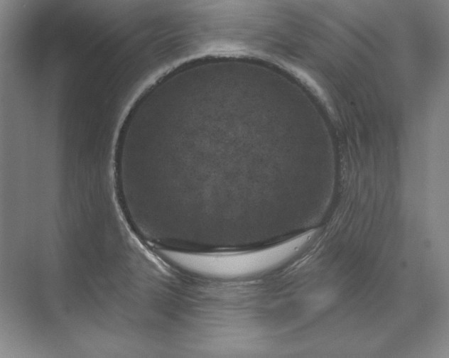 X0000074021327200609061105
