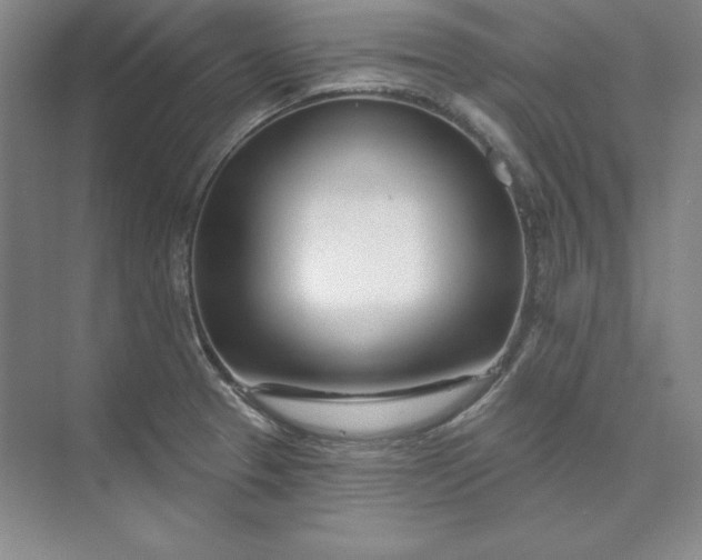 X0000074021329200609061105