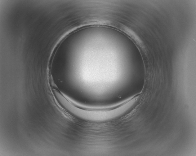 X0000074021332200609061105