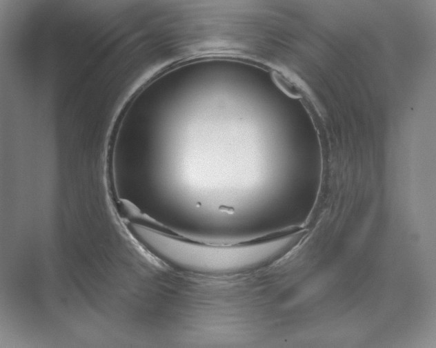 X0000074021333200609061105