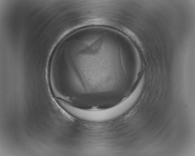 X0000074021334200609061105