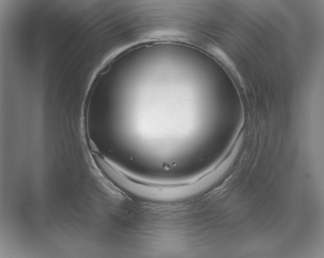 X0000074021336200609061105