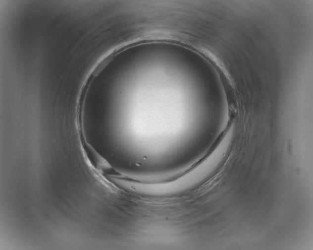 X0000074021342200609061106