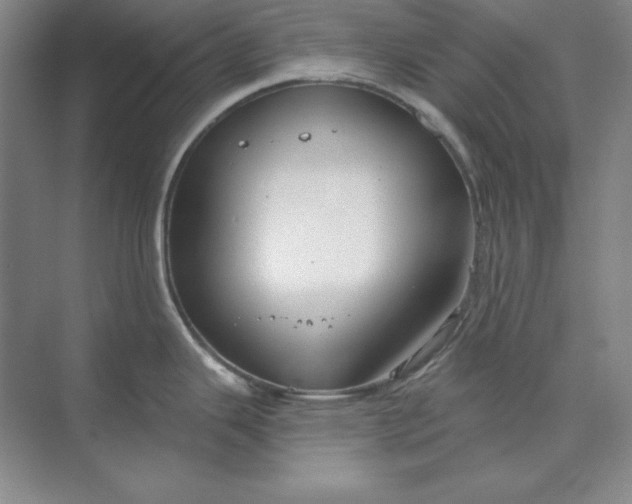 X0000074021343200609061106