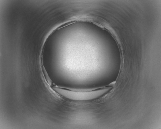 X0000074021344200609061106