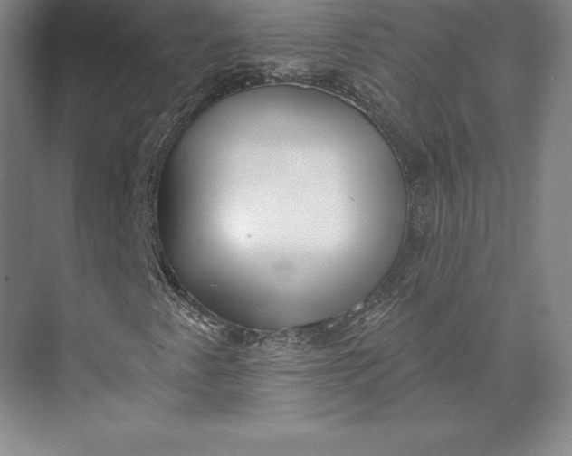 X0000074021345200609061105