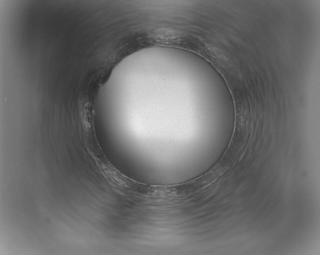 X0000074021346200609061105