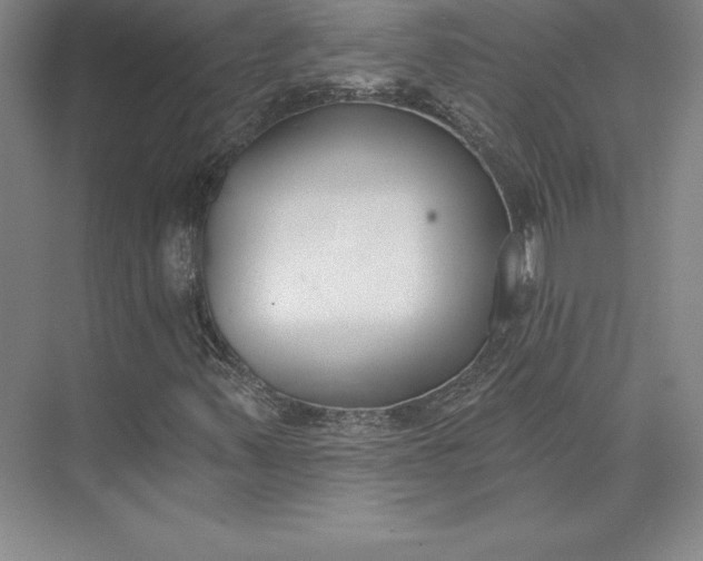 X0000074021347200609061105