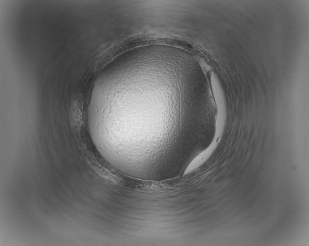 X0000074021348200609061105