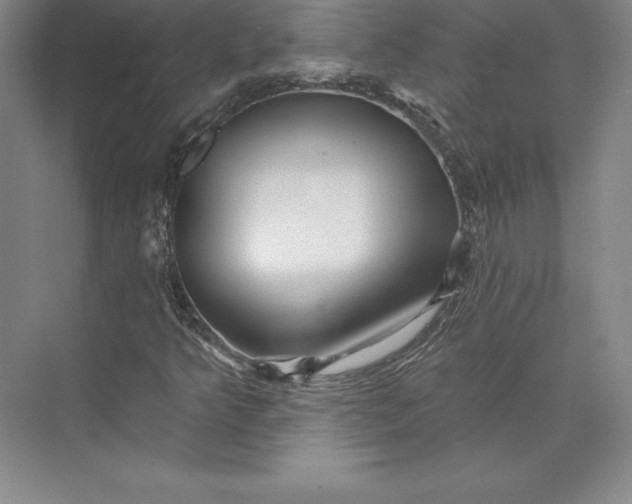 X0000074021349200609061105