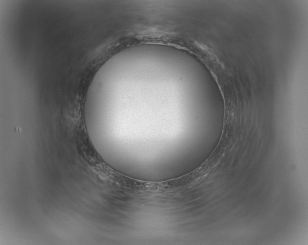 X0000074021350200609061105