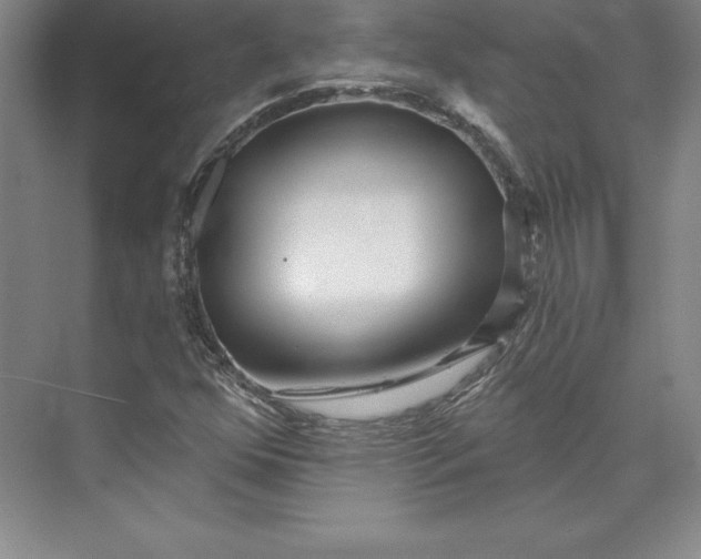 X0000074021352200609061105