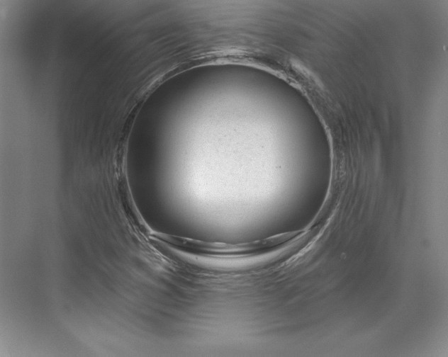 X0000074021353200609061105