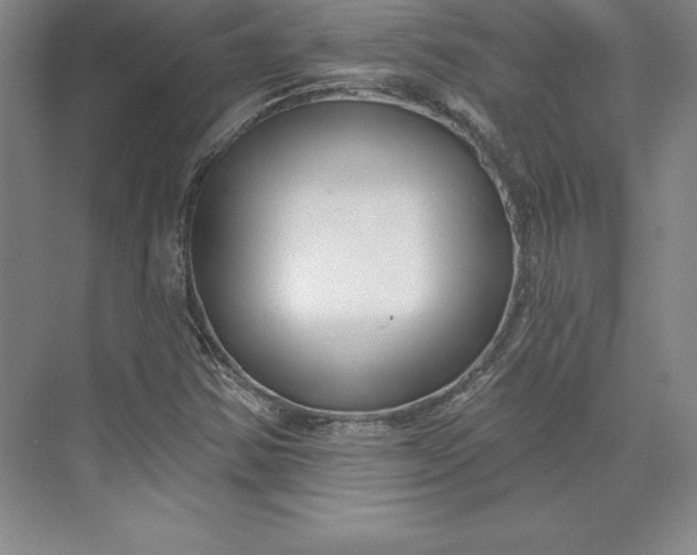X0000074021354200609061105