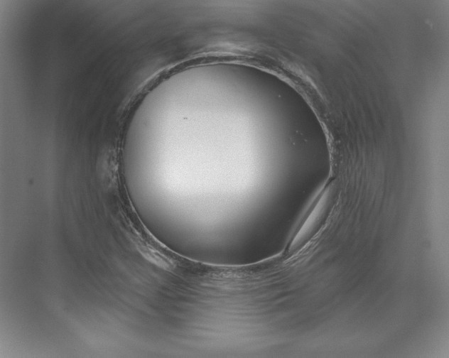 X0000074021355200609061105