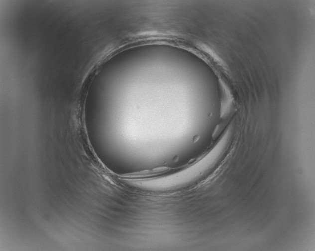 X0000074021357200609061105