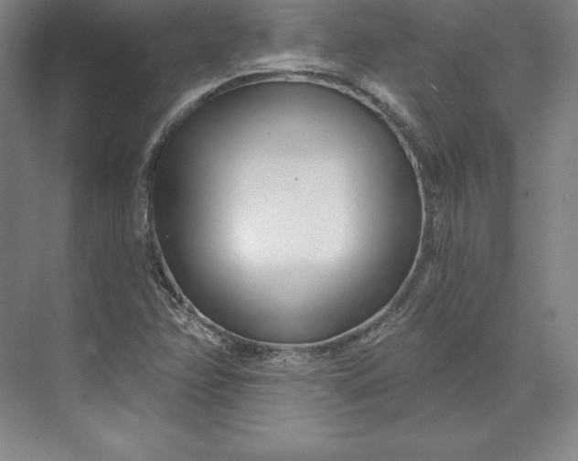 X0000074021358200609061105
