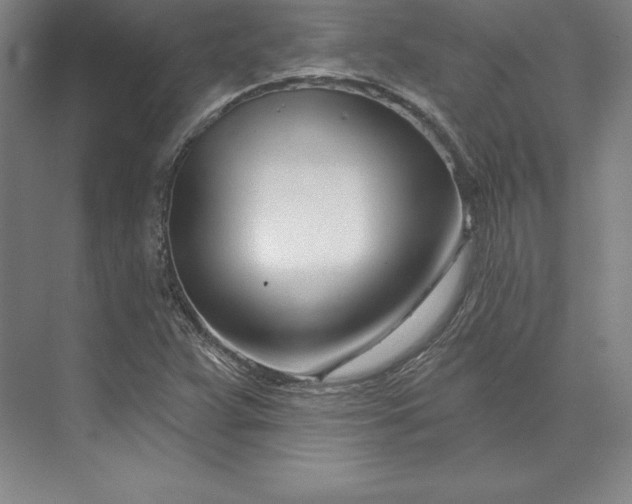 X0000074021359200609061104