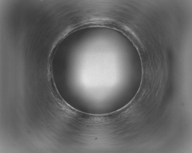 X0000074021362200609061104