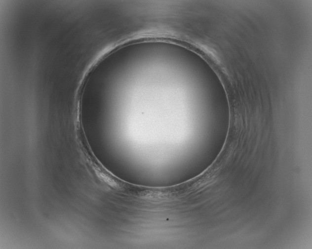 X0000074021366200609061104