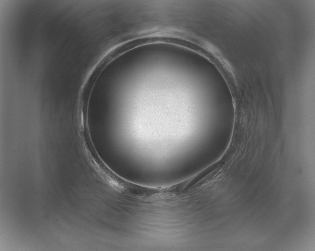 X0000074021368200609061104