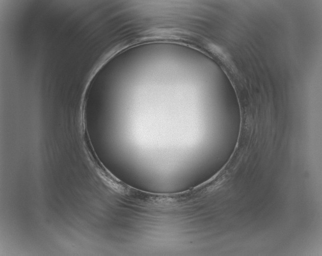 X0000074021370200609061104