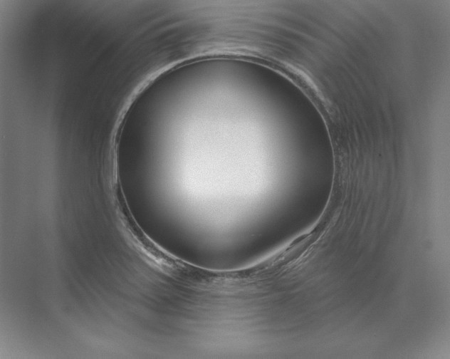 X0000074021371200609061104