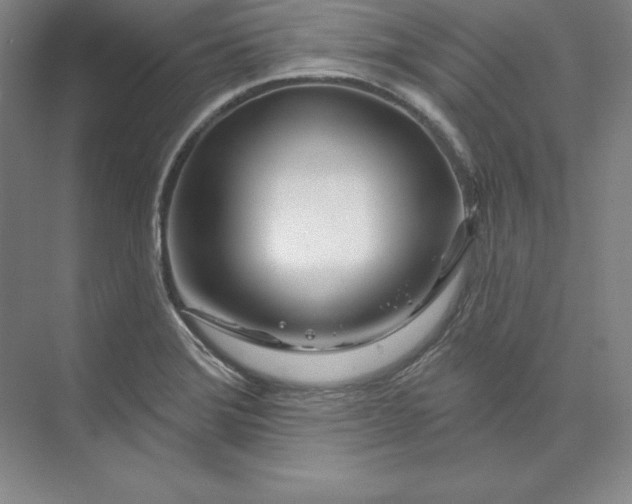 X0000074021372200609061104