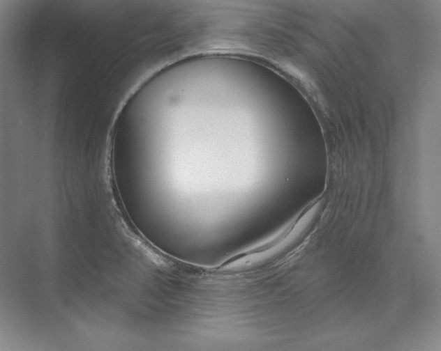 X0000074021374200609061104
