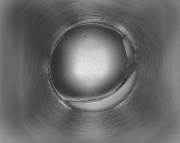 X0000074021377200609061104