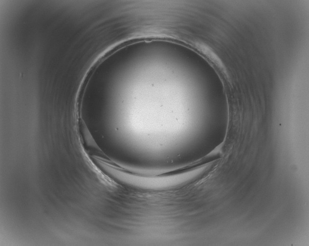 X0000074021380200609061104