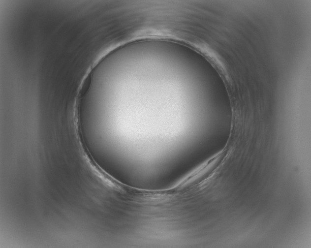 X0000074021382200609061104